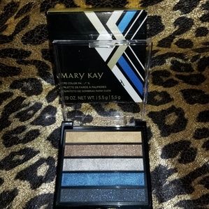 🤩*(rare)* rock the runway eye color palette
